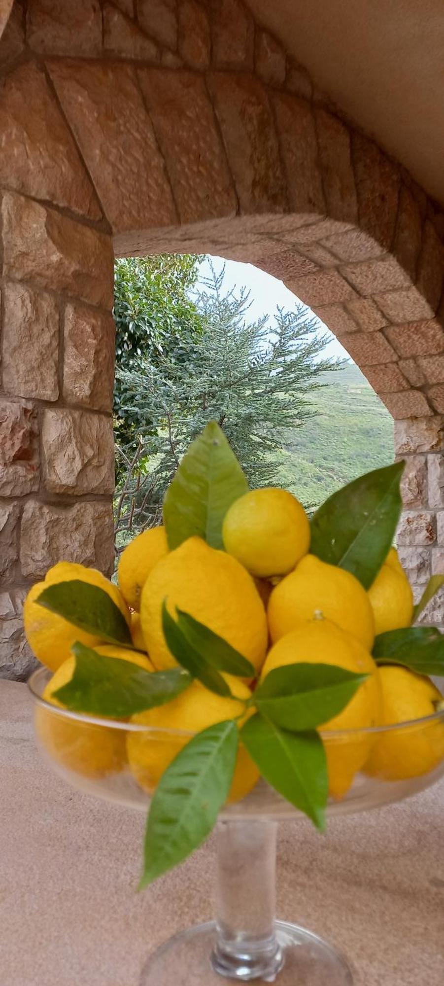 Villa Verde Cefalù Buitenkant foto